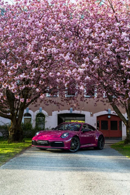 Rosa Porsche 911 fotografert under blomstrende kirsebærtrær